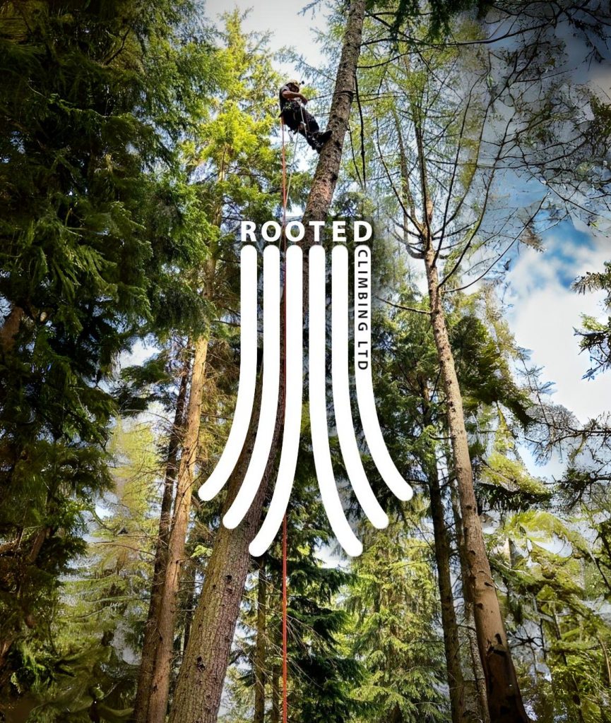Rooted Climbing logo over image of tree climber